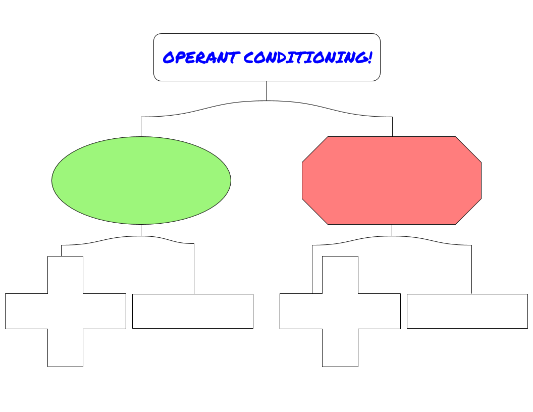 Operant Conditioning Flow Chart